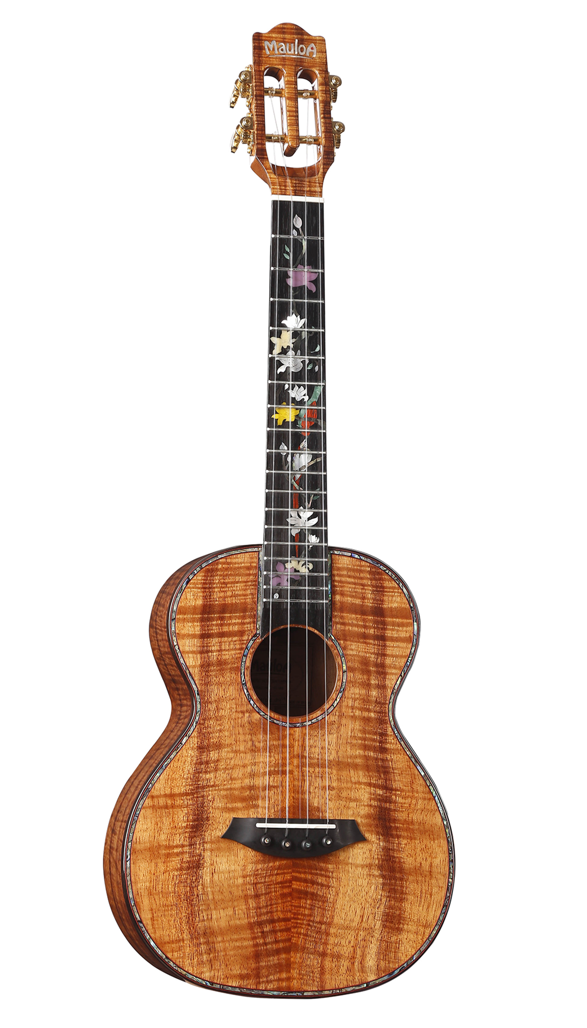 All Solid Koa All Solid Koa